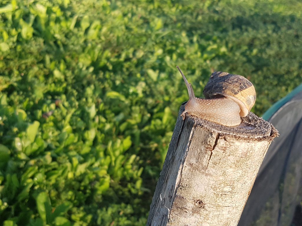 20170727_072054