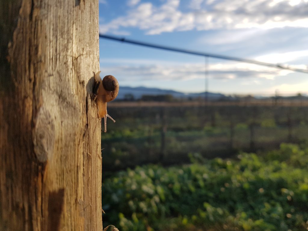 20171117_075704