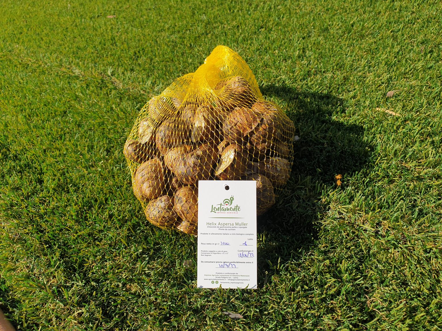 sacchetto lumache